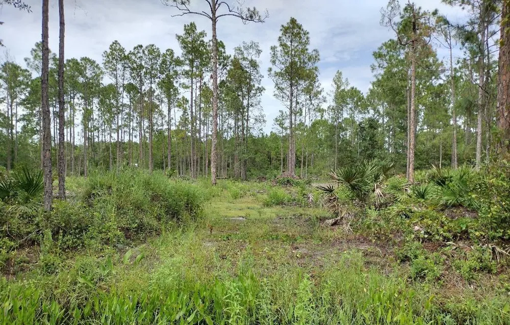 5814 MAHOGANY BOULEVARD Bunnell, FL 32110