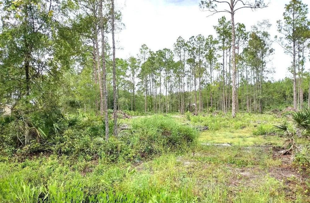 5814 MAHOGANY BOULEVARD Bunnell, FL 32110
