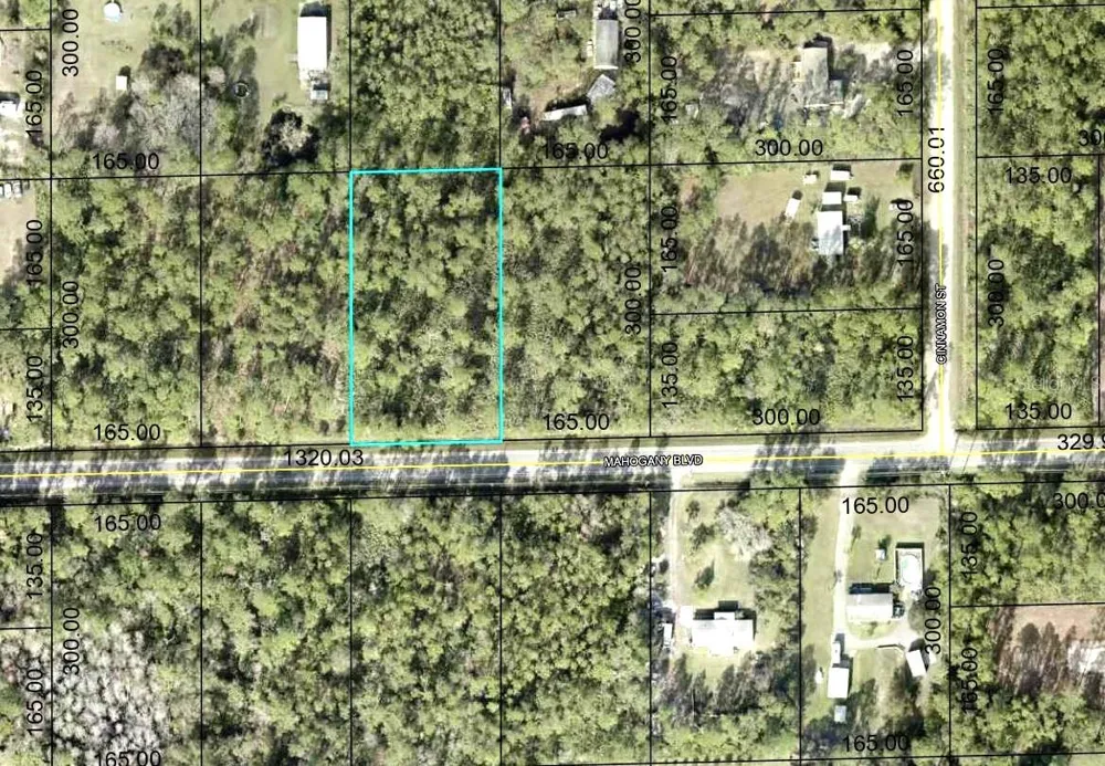 5814 MAHOGANY BOULEVARD Bunnell, FL 32110