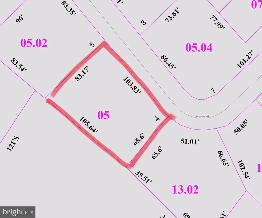 218 WILLIAMS AVENUE Frederica, DE 19946