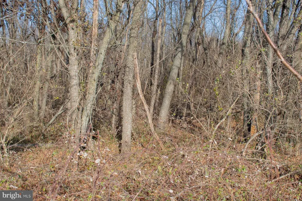 OPEQUON CONNECTOR Kearneysville, WV 25430