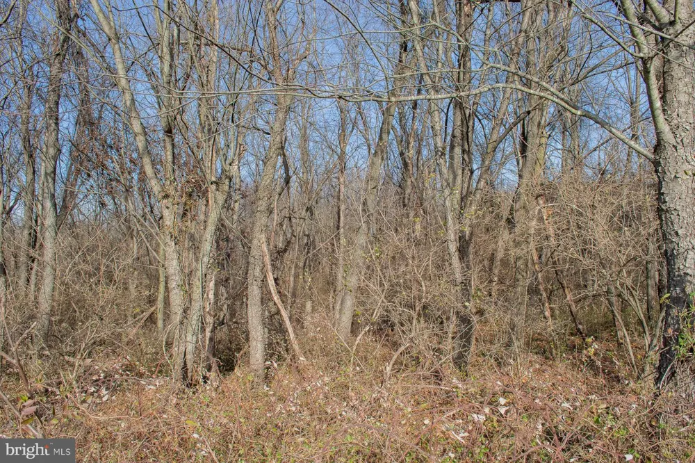 OPEQUON CONNECTOR Kearneysville, WV 25430