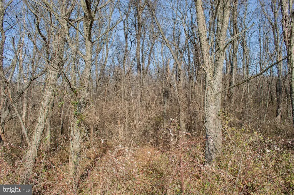 OPEQUON CONNECTOR Kearneysville, WV 25430