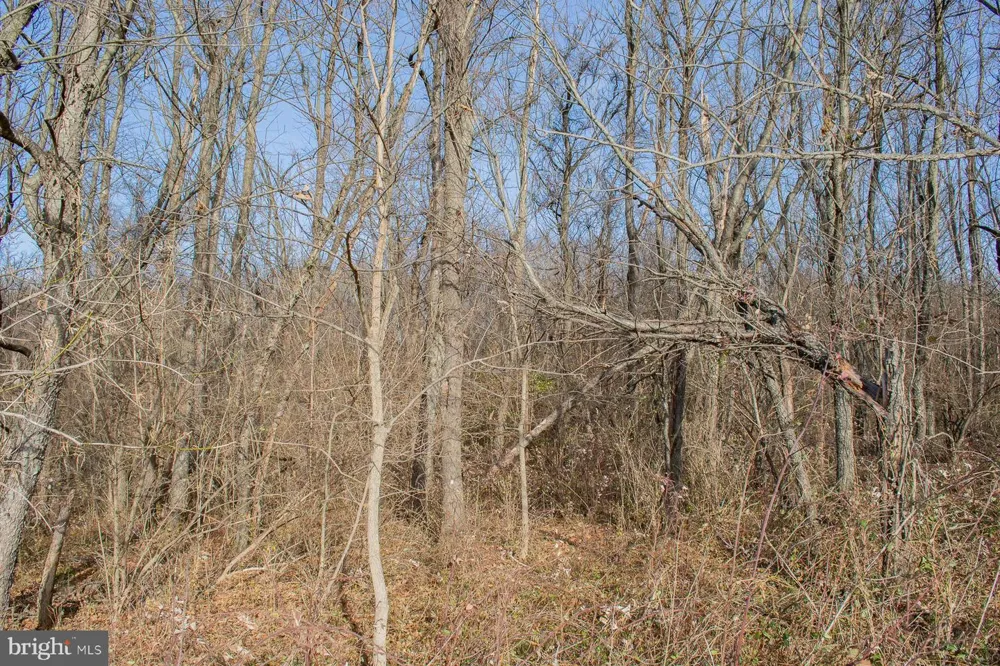 OPEQUON CONNECTOR Kearneysville, WV 25430