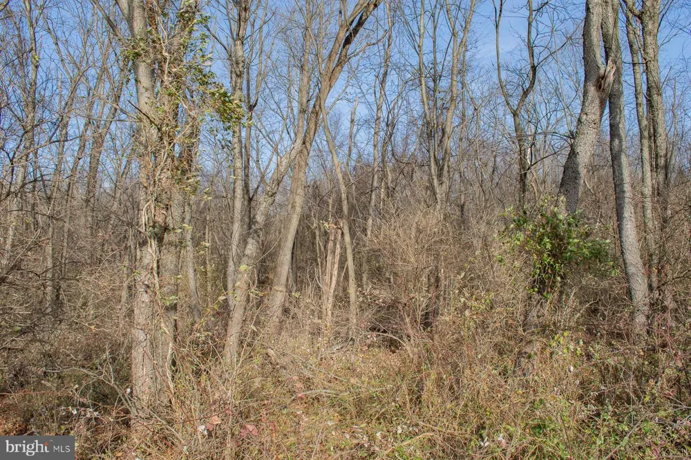 OPEQUON CONNECTOR Kearneysville, WV 25430