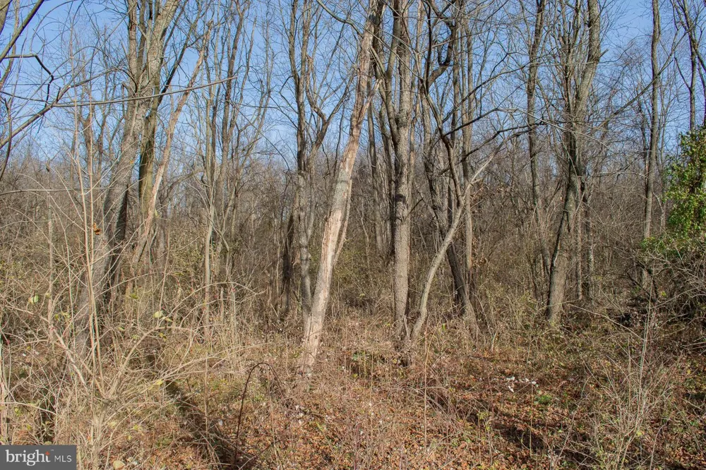 OPEQUON CONNECTOR Kearneysville, WV 25430