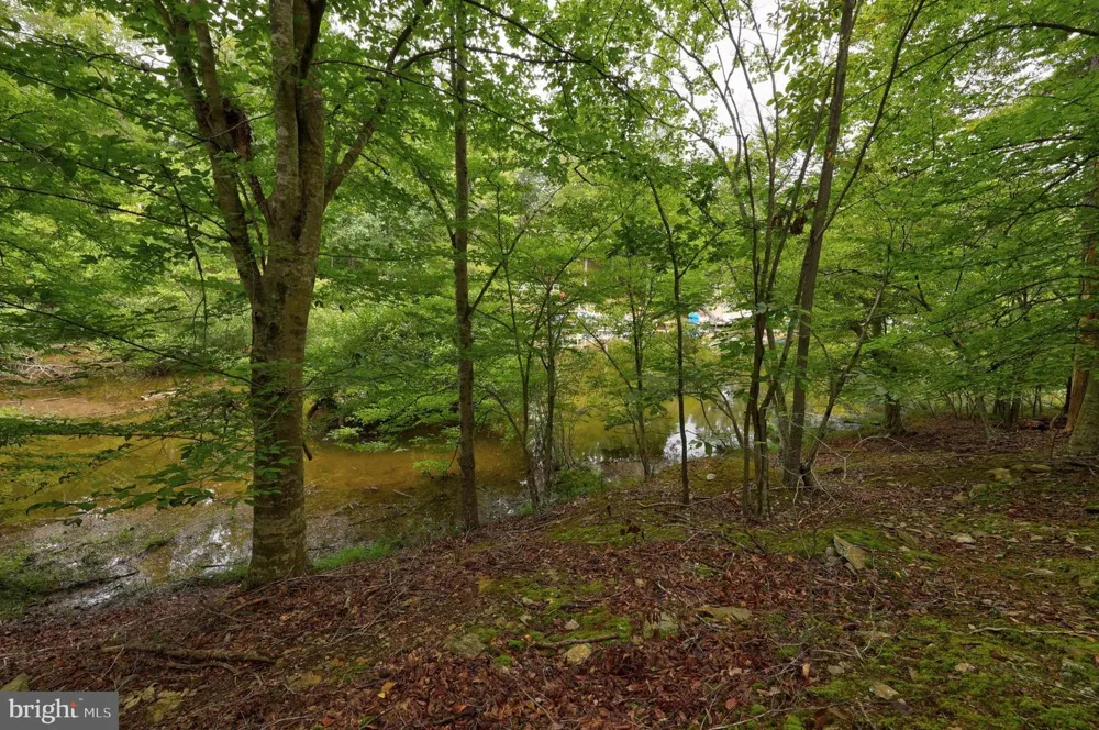 JEFFERSON DRIVE Palmyra, VA 22963