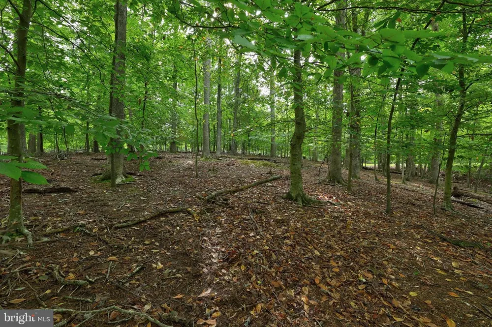 JEFFERSON DRIVE Palmyra, VA 22963