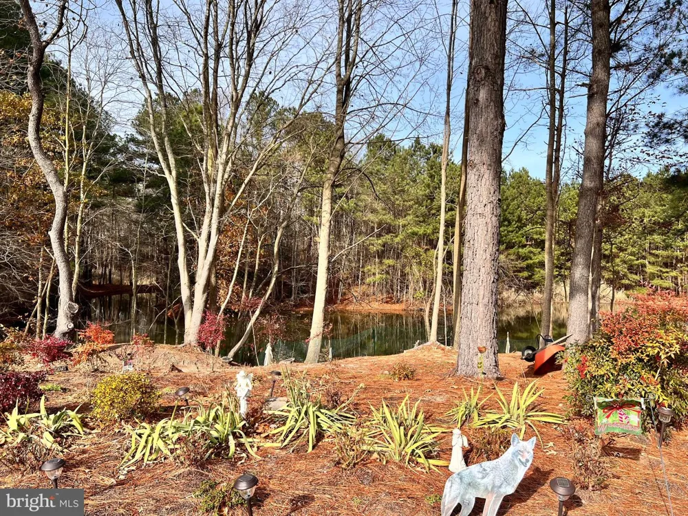 210 RINGGOLD ROAD Fruitland, MD 21826
