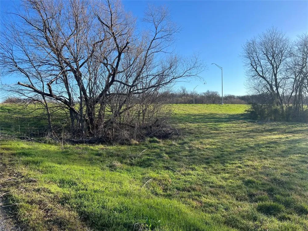 Hwy 82 Highway Ector, TX 75439