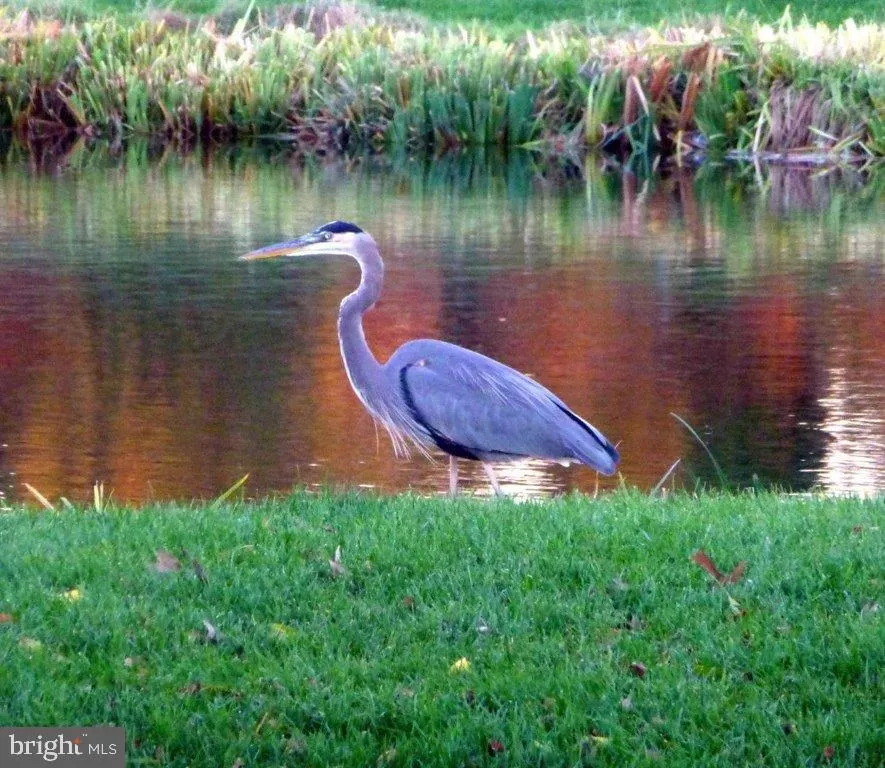 32675 BACK NINE WAY #3858 Long Neck, DE 19966