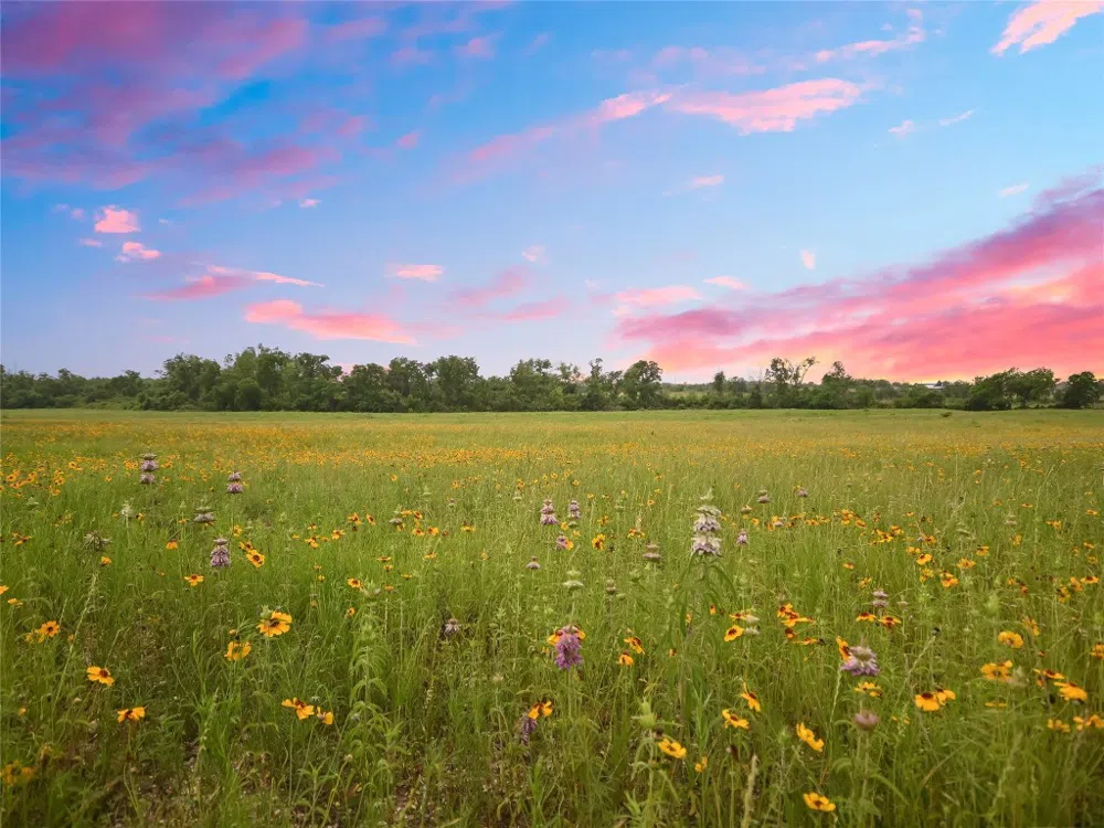 1515 County Road 315 Jarrell, TX 76537