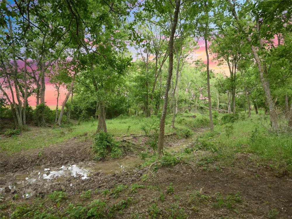 1515 County Road 315 Jarrell, TX 76537