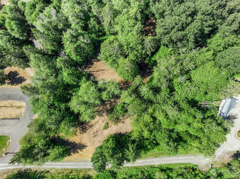 231 Oxbow Lake Lane Toledo, WA 98591