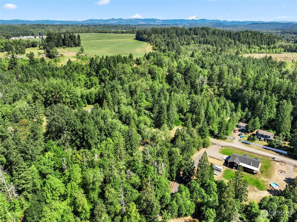231 Oxbow Lake Lane Toledo, WA 98591