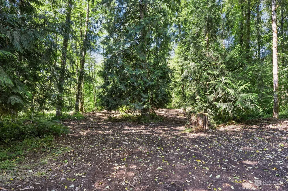 231 Oxbow Lake Lane Toledo, WA 98591