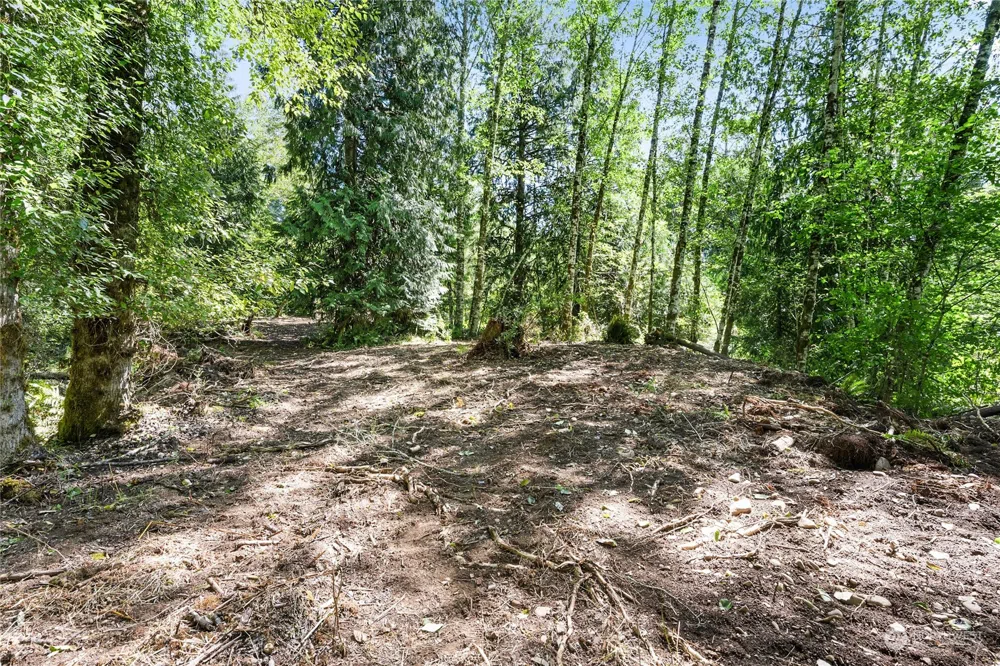 231 Oxbow Lake Lane Toledo, WA 98591