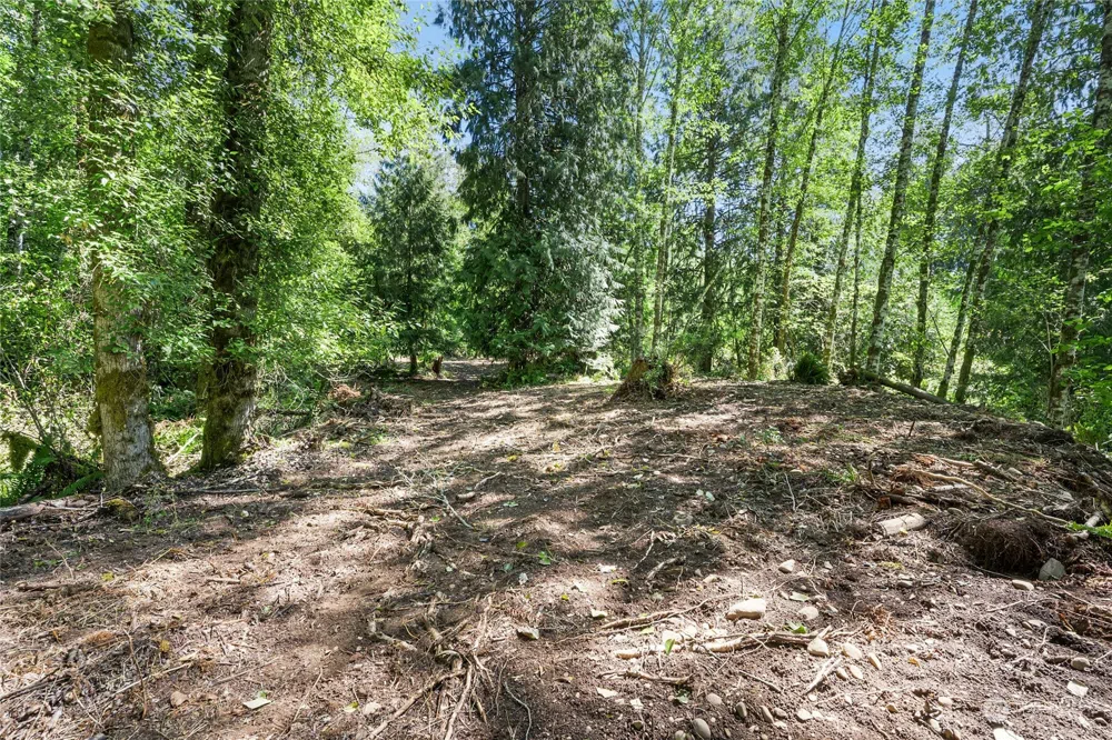 231 Oxbow Lake Lane Toledo, WA 98591