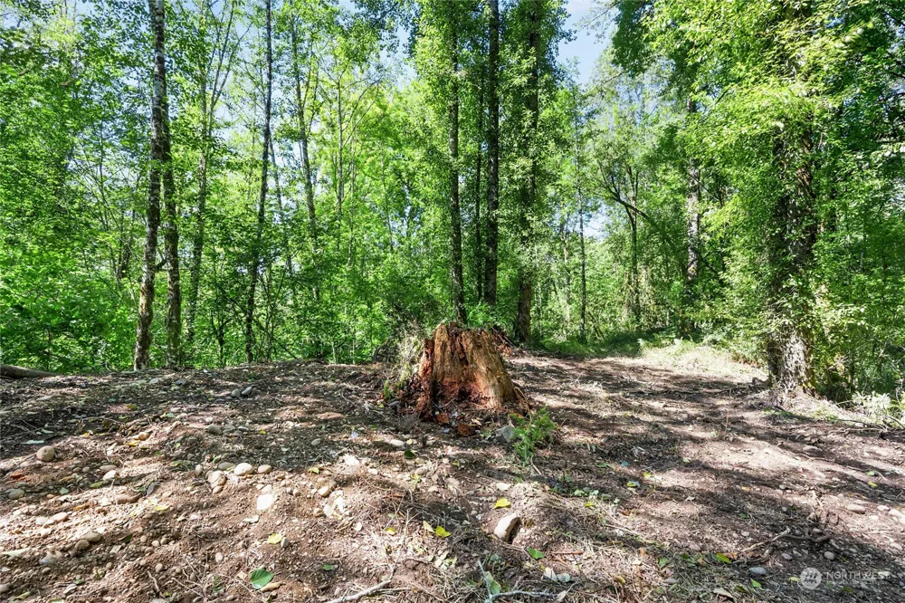 231 Oxbow Lake Lane Toledo, WA 98591