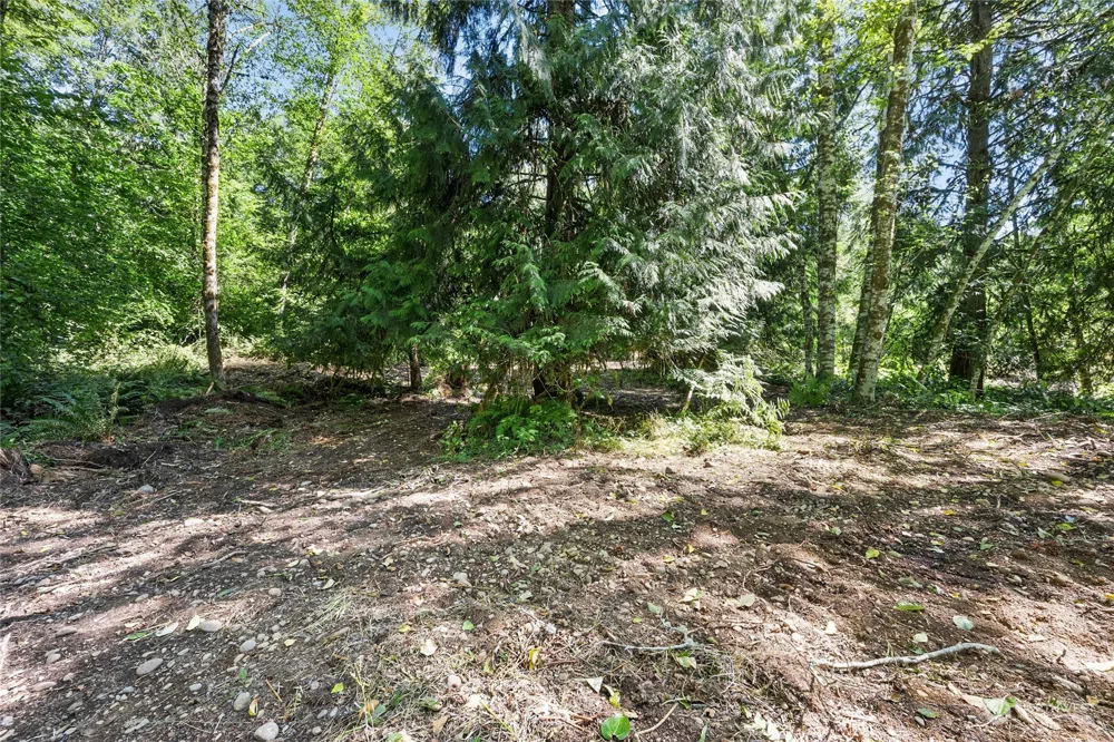 231 Oxbow Lake Lane Toledo, WA 98591