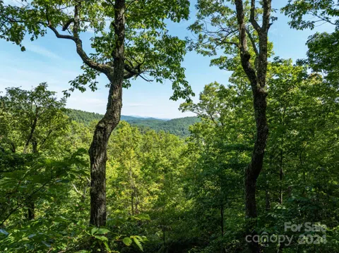Lot 25 Panther Mountain Road #CVN-CVN-025
