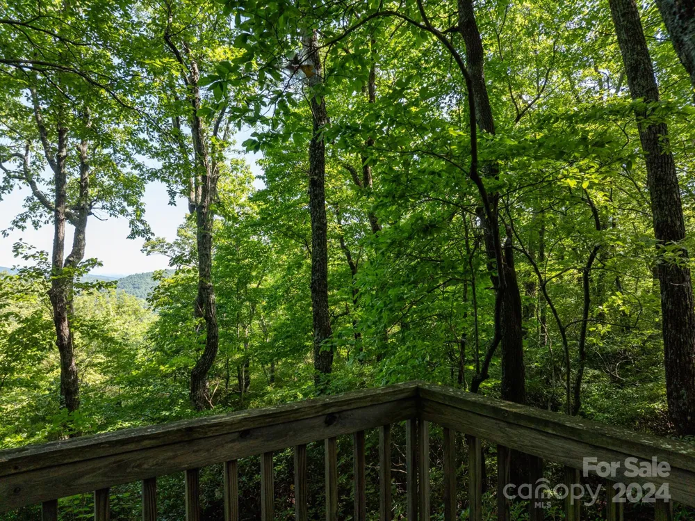 Lot 25 Panther Mountain Road #CVN-CVN-025 Zirconia, NC 28790
