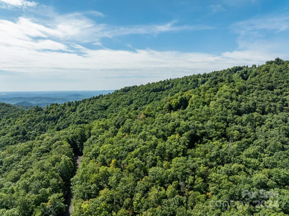 Lot 25 Panther Mountain Road #CVN-CVN-025 Zirconia, NC 28790