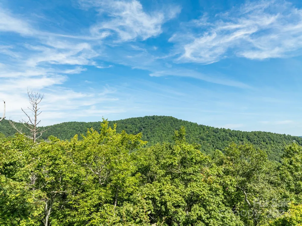 Lot 25 Panther Mountain Road #CVN-CVN-025 Zirconia, NC 28790