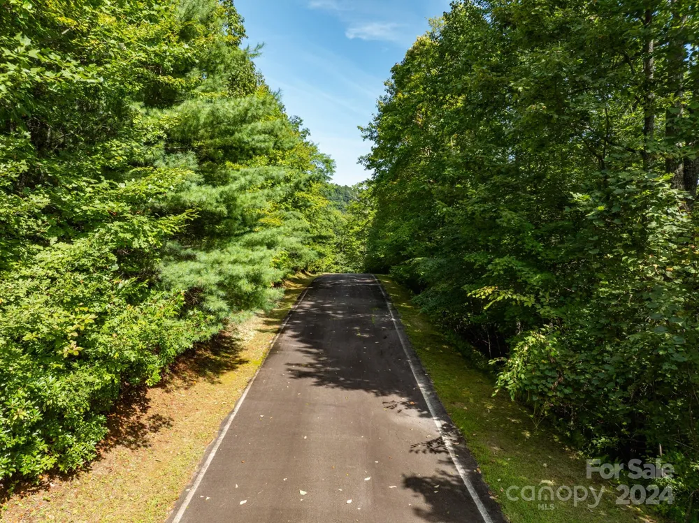 Lot 25 Panther Mountain Road #CVN-CVN-025 Zirconia, NC 28790