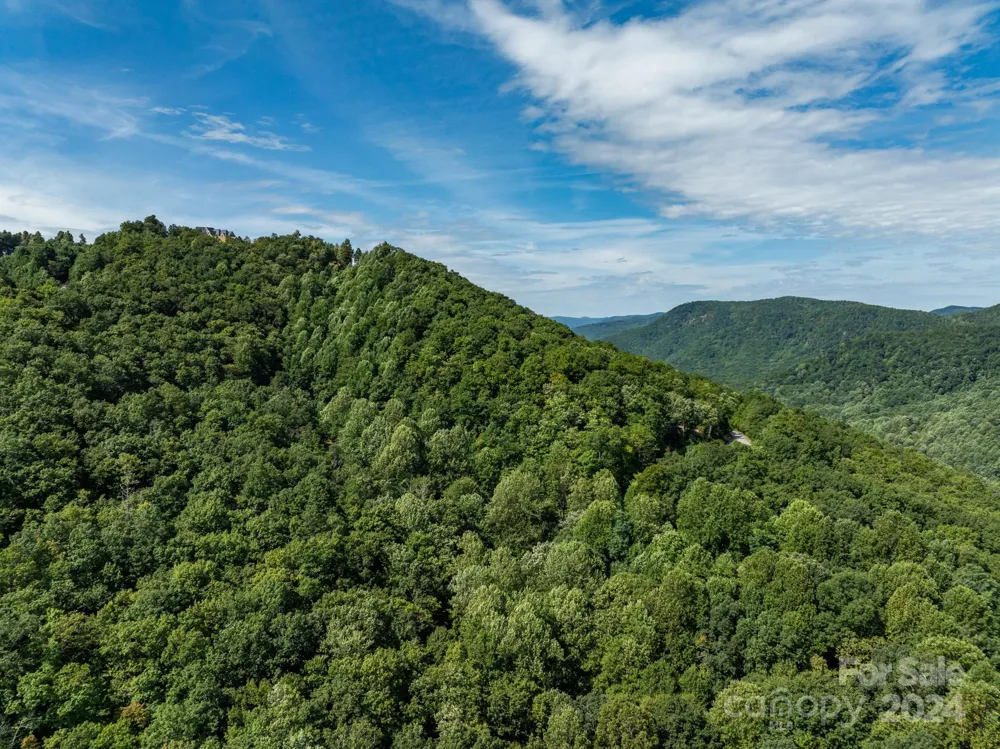 Lot 25 Panther Mountain Road #CVN-CVN-025 Zirconia, NC 28790