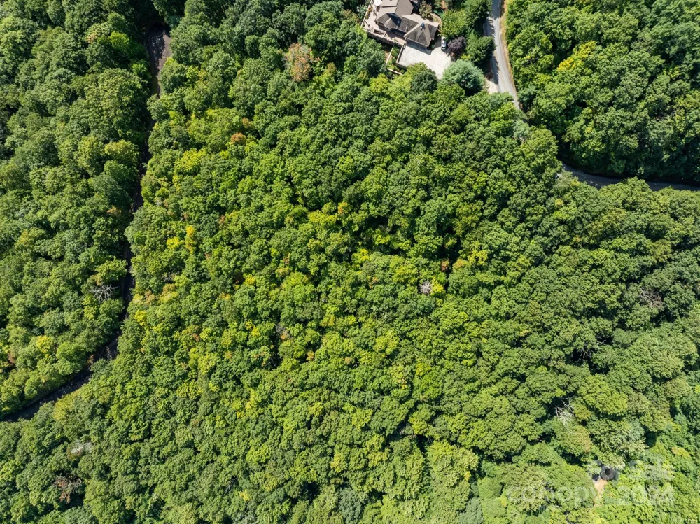 Lot 25 Panther Mountain Road #CVN-CVN-025 Zirconia, NC 28790