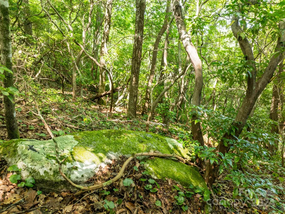 Lot 25 Panther Mountain Road #CVN-CVN-025 Zirconia, NC 28790