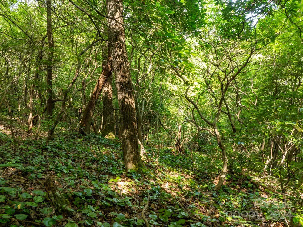 Lot 25 Panther Mountain Road #CVN-CVN-025 Zirconia, NC 28790