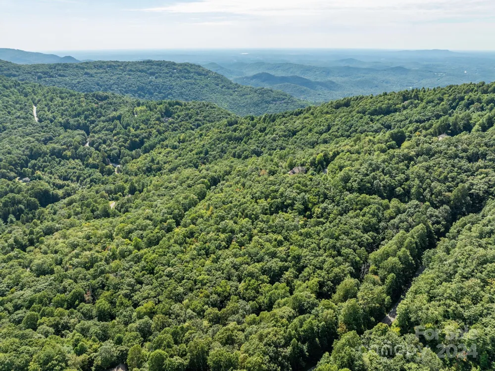 Lot 25 Panther Mountain Road #CVN-CVN-025 Zirconia, NC 28790