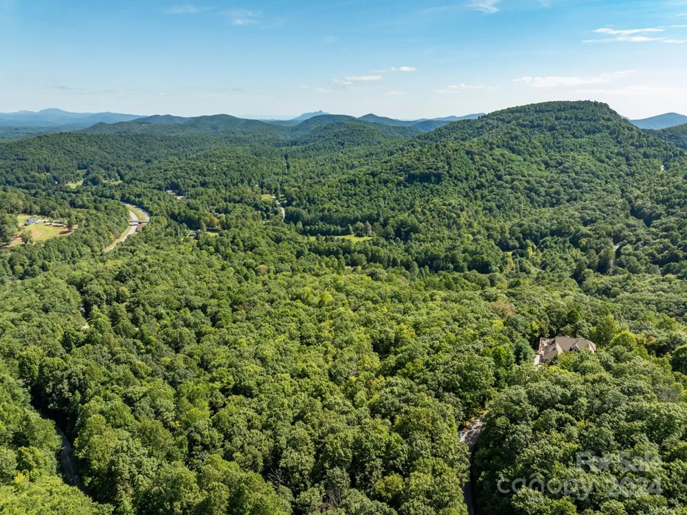 Lot 25 Panther Mountain Road #CVN-CVN-025 Zirconia, NC 28790