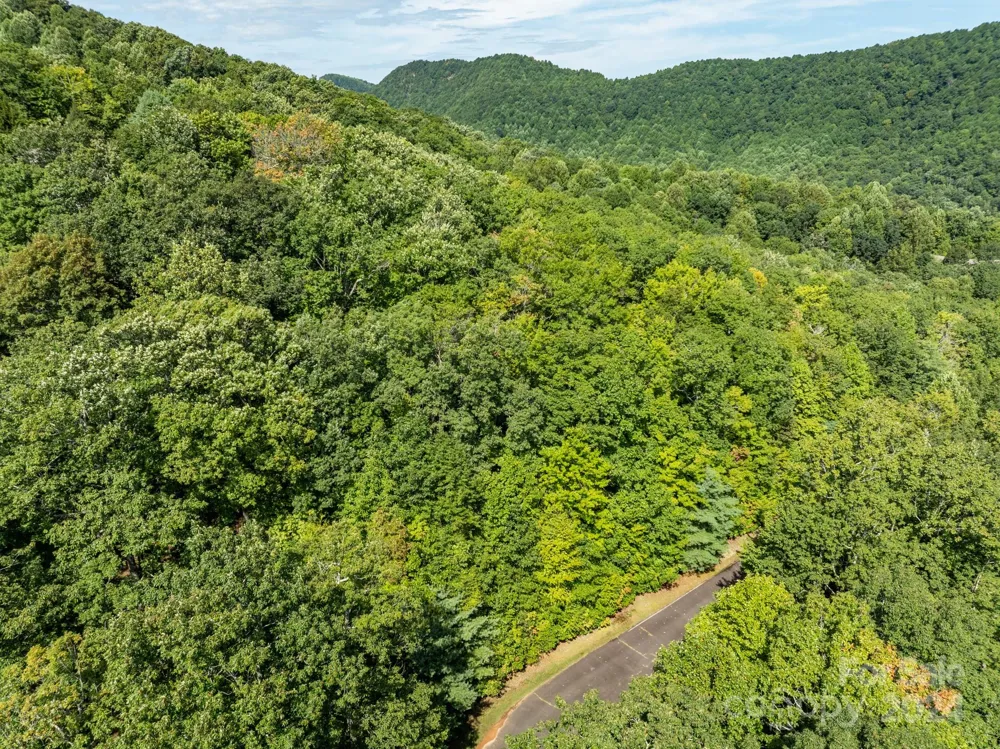 Lot 25 Panther Mountain Road #CVN-CVN-025 Zirconia, NC 28790