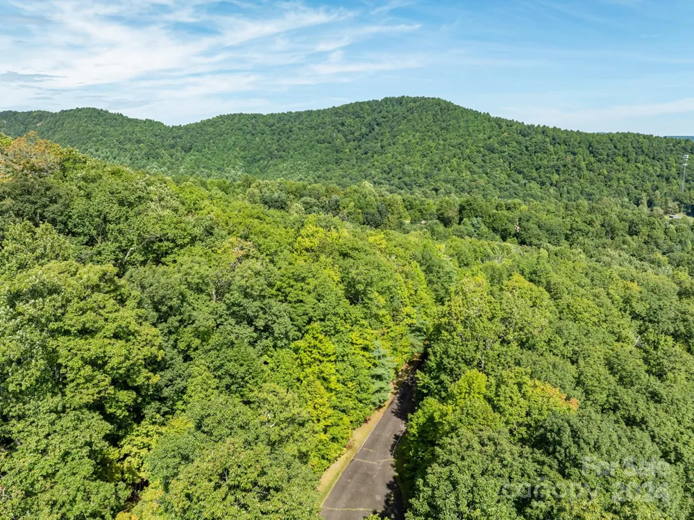 Lot 25 Panther Mountain Road #CVN-CVN-025 Zirconia, NC 28790
