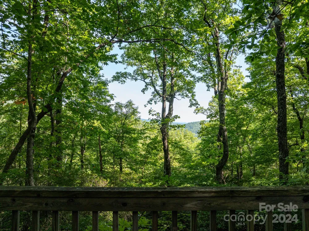 Lot 25 Panther Mountain Road #CVN-CVN-025 Zirconia, NC 28790