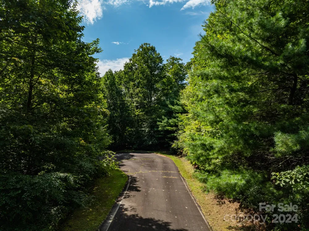 Lot 25 Panther Mountain Road #CVN-CVN-025 Zirconia, NC 28790
