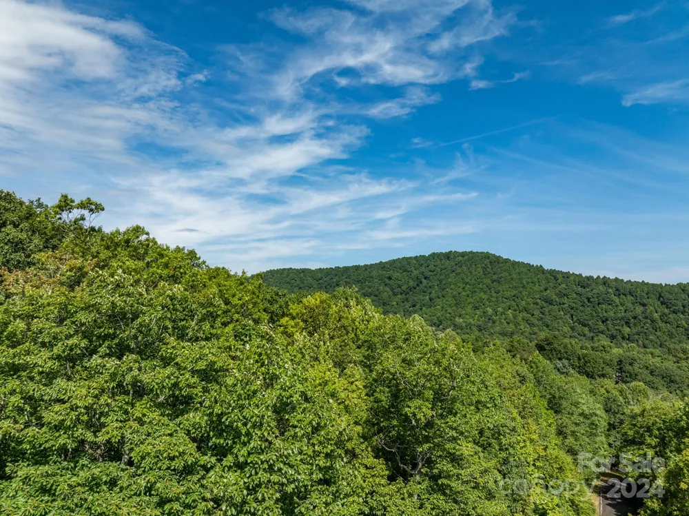 Lot 25 Panther Mountain Road #CVN-CVN-025 Zirconia, NC 28790