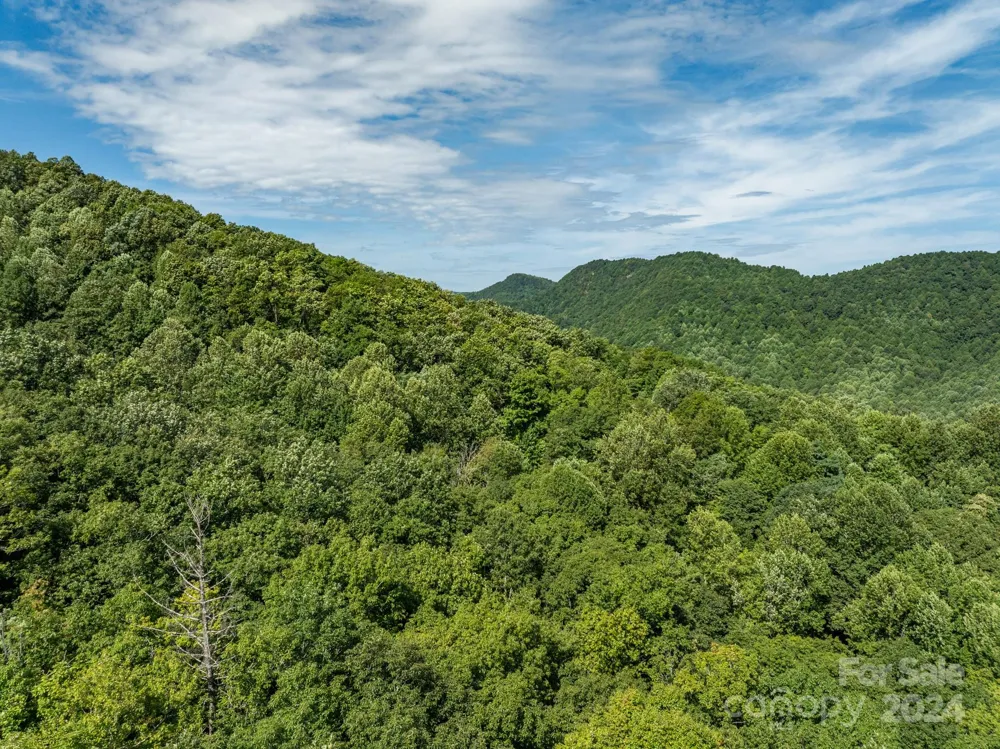 Lot 25 Panther Mountain Road #CVN-CVN-025 Zirconia, NC 28790