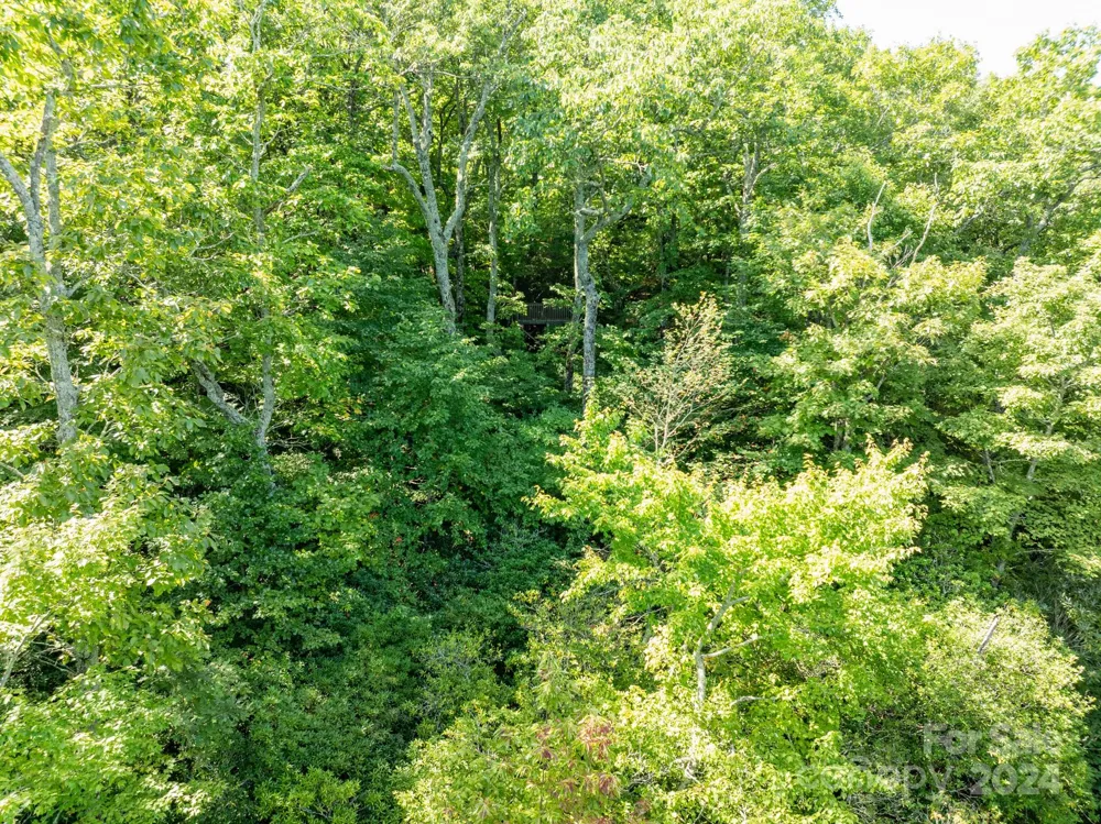 Lot 25 Panther Mountain Road #CVN-CVN-025 Zirconia, NC 28790