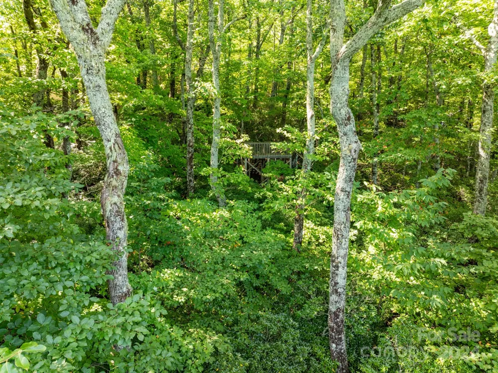 Lot 25 Panther Mountain Road #CVN-CVN-025 Zirconia, NC 28790