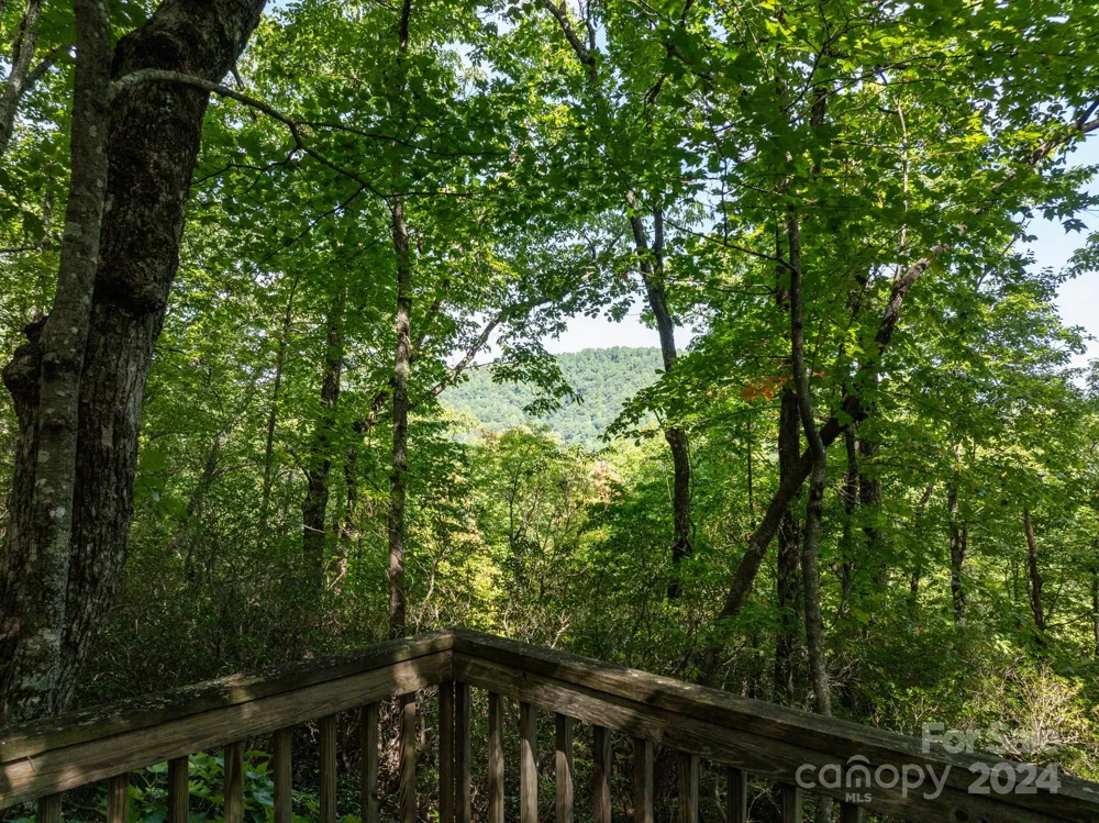Lot 25 Panther Mountain Road #CVN-CVN-025 Zirconia, NC 28790