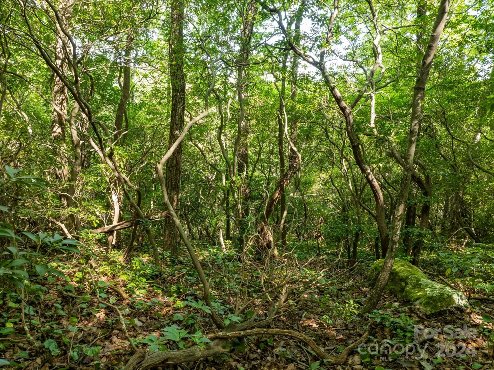 Lot 25 Panther Mountain Road #CVN-CVN-025 Zirconia, NC 28790