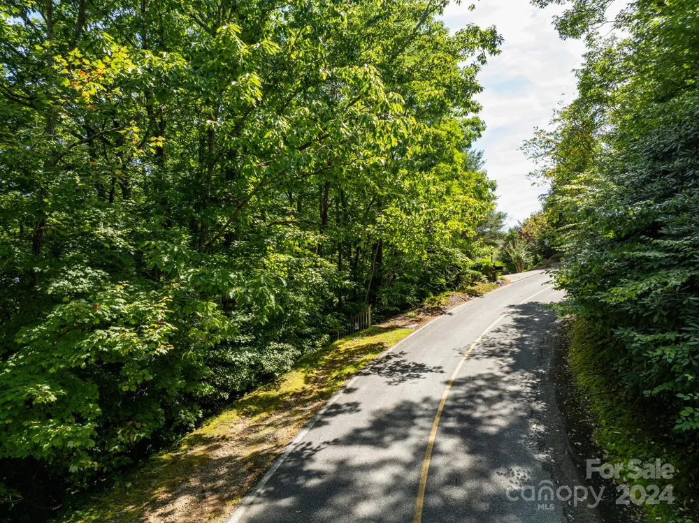 Lot 25 Panther Mountain Road #CVN-CVN-025 Zirconia, NC 28790