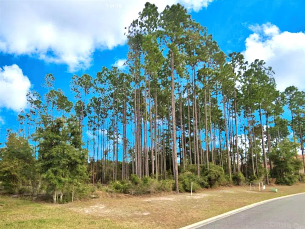 85144 NAPEAGUE DRIVE Fernandina Beach, FL 32034