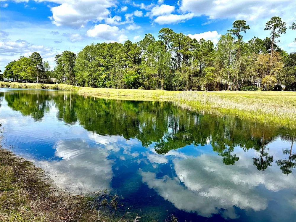 85144 NAPEAGUE DRIVE Fernandina Beach, FL 32034