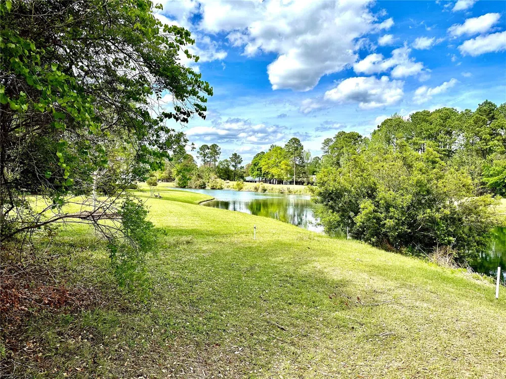 85144 NAPEAGUE DRIVE Fernandina Beach, FL 32034
