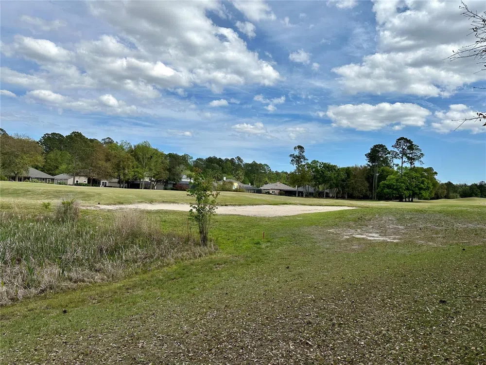 85144 NAPEAGUE DRIVE Fernandina Beach, FL 32034